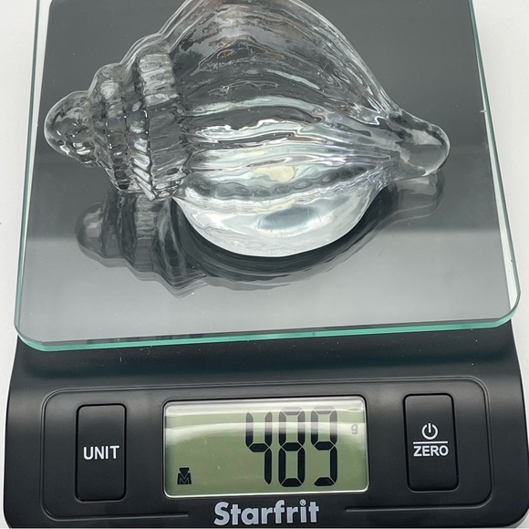 Conch Shell Art Glass Paperweight - Picture 11 of 12
